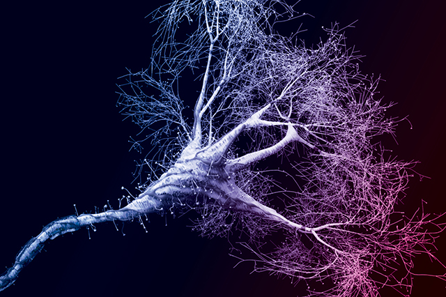 Graphic of neurons with the vital science colors overlayed.