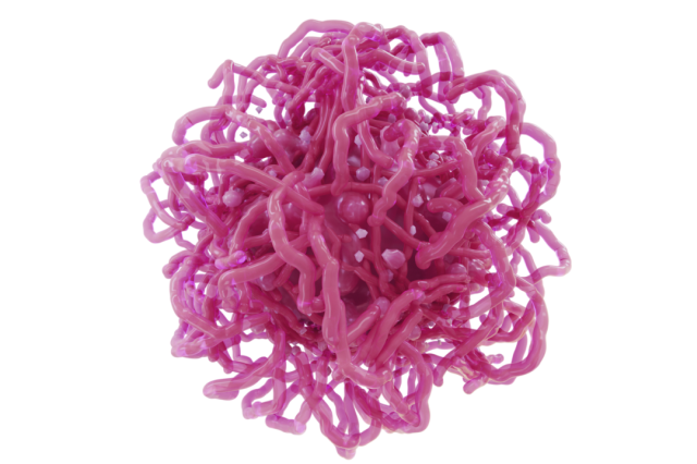 artist's rendering of a macrophage cell