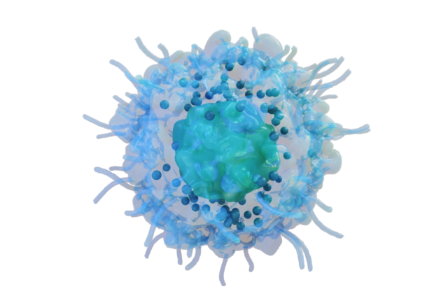 artist's rendering of a human natural killer cell