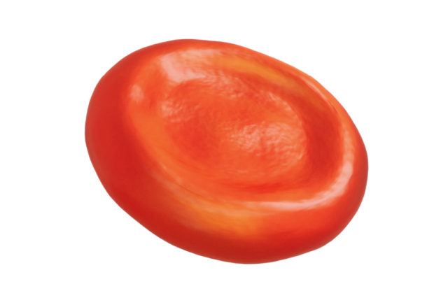 artist's rendering of a human whole blood cell