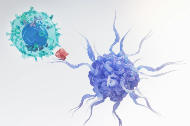illustration of a T Cell and Dendritic Cell