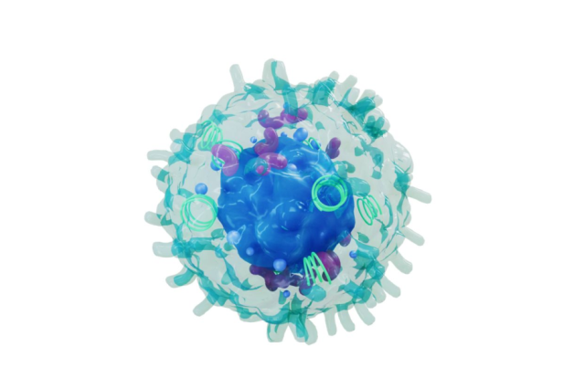 artist's rendering of a CD3+ T cell
