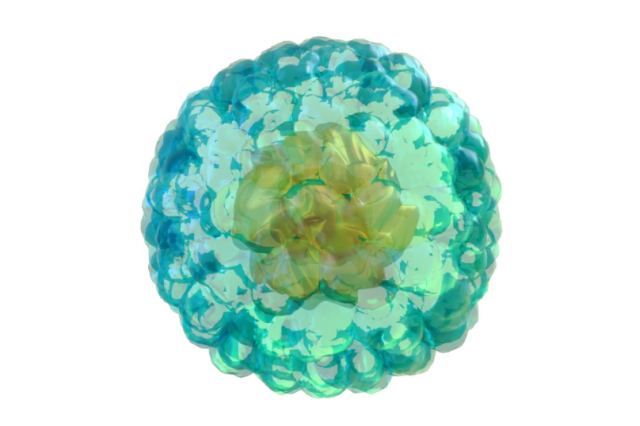 artist's rendering of a human regulatory T cell