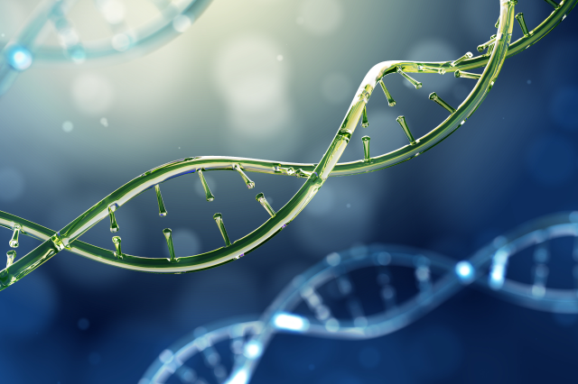 DNA strand
