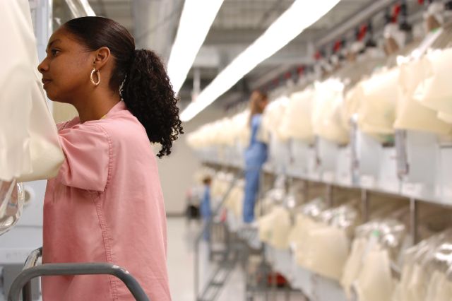 female animal technician working with rodents in a row of isolators