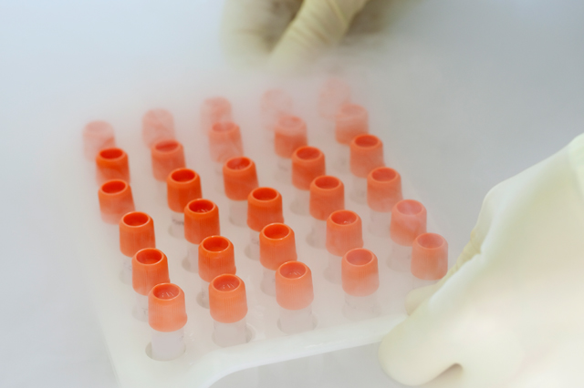 The NCG mouse model is the foundation of Charles River's humanized mice portfolio