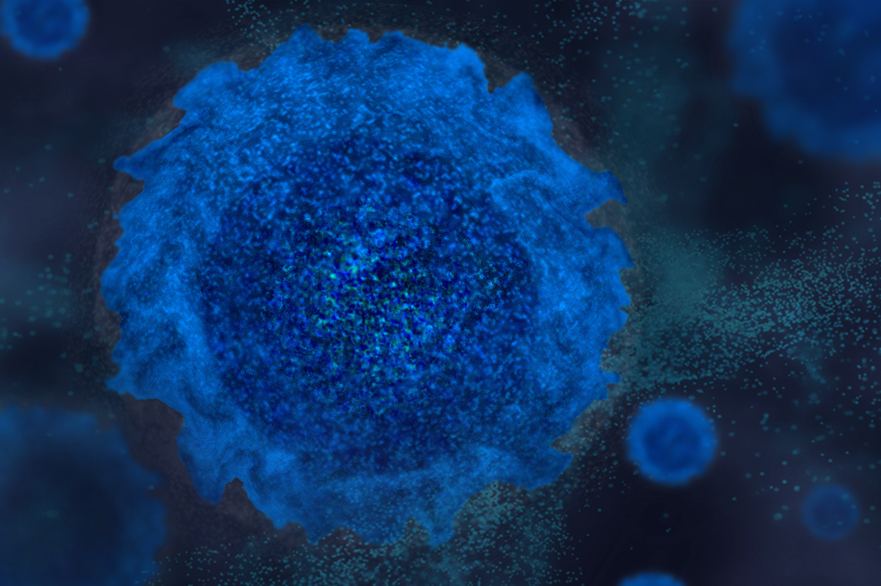 Macrophage cell assays.
