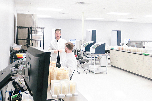 Laboratory technicians preparing customer samples for MALDI-TOF bacterial identification