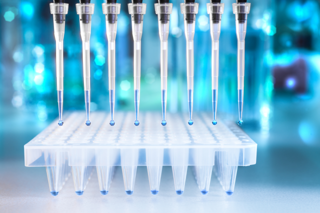 Assay being auto-pipetted into a well plate