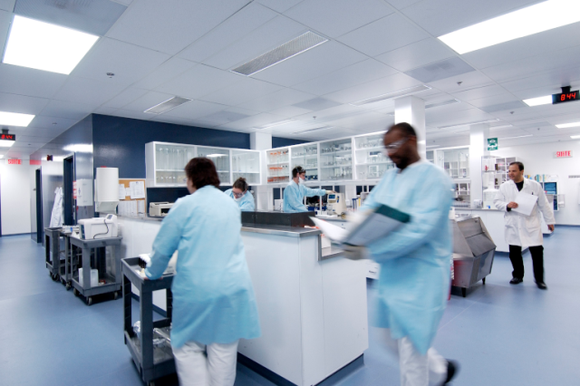 Charles River Scientists working in a lab