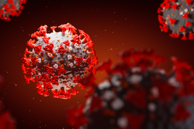 Real-time SARS-CoV PCR assay for animal diagnostic screening