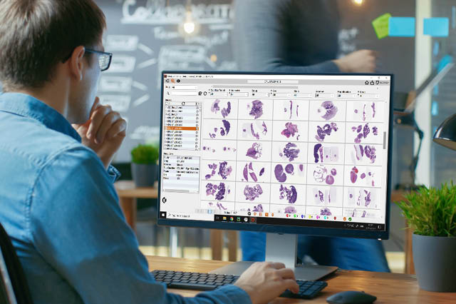 Fully GLP compliant digital pathology workflow enhances Charles River’s portfolio of preclinical CRO services by supporting pathology peer review globally.