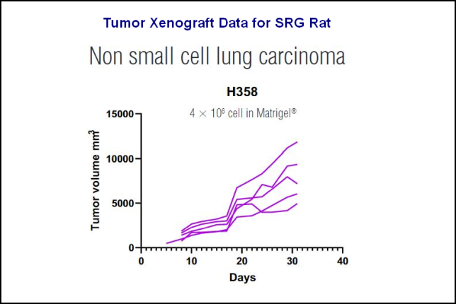 SRG xenograft data document detail
