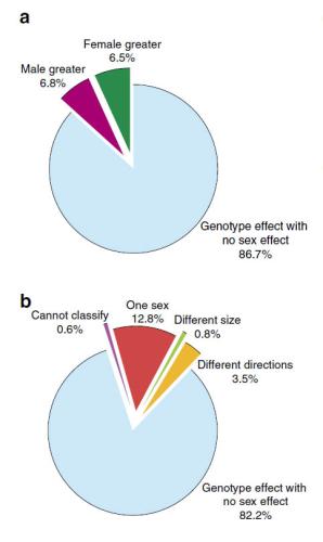 Sexual dimorphism in mice