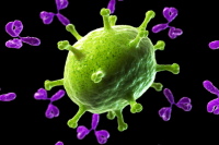 Image of antibody attacking a virus