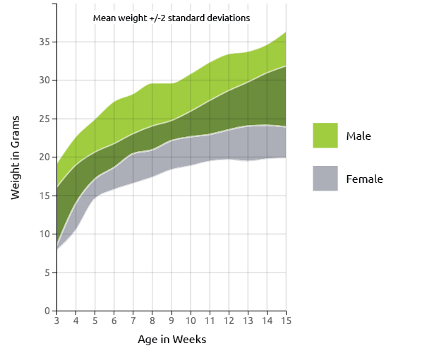 C3H Mouse US Growth Chart