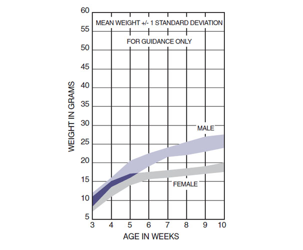 CBA Mouse UK Growth Chart
