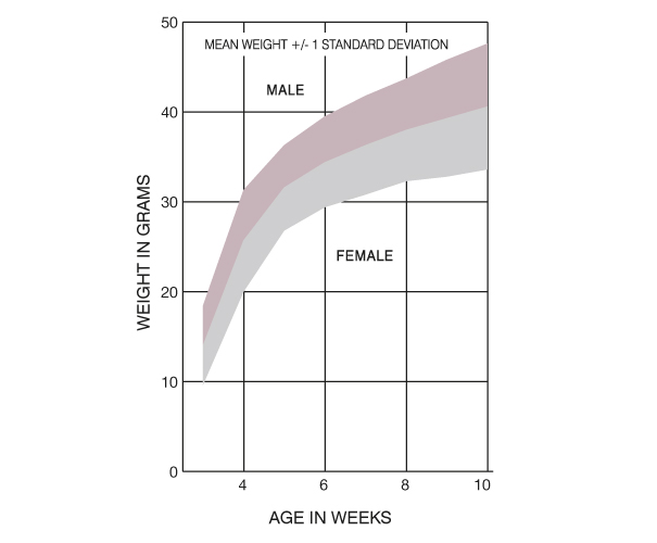 CD1-IGS Germany Growth Chart