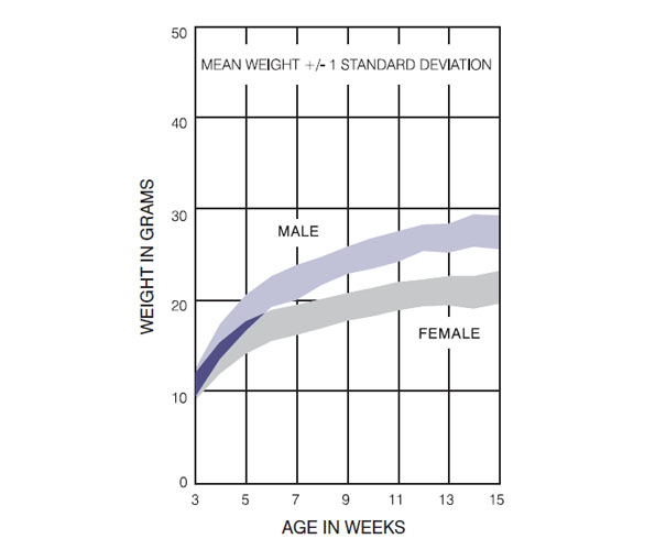 CD2F1 Italy Growth Chart