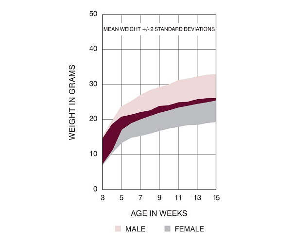 CD2F1 US Growth Chart