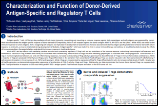 detail from Lineage of CD34+ poster