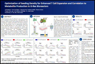 detail from Lineage of CD34+ poster