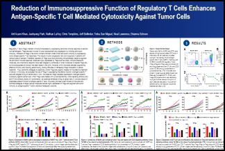 detail from Lineage of CD34+ poster