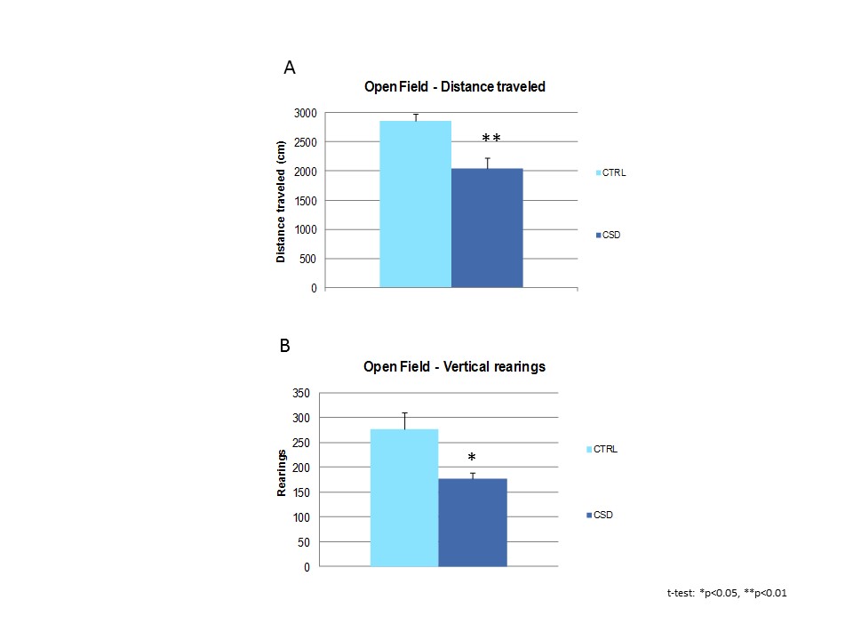 chart of open field distant traveled and vertical rearings in chronic social defeat and control mice