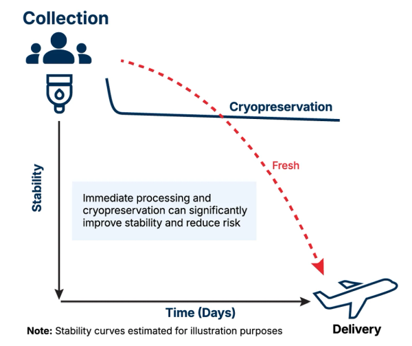 cryopreservation benefits