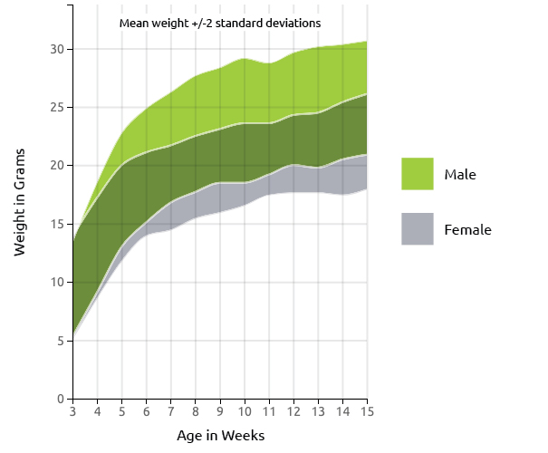 DBA/2 Mouse US Growth Chart