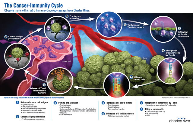 cancer-immunity cycle, immuno-oncology assay translational platfrom