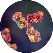 Antibody discovery services to uncover novel antibody therapeutics