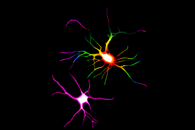 Psychoplastogens: The Evolution of the Psychedelic Revolution