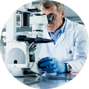 Image of scientist looking at data for our Muskoskeletal pharmacology studies on a computer.