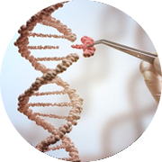 illustration of genetic engineering and gene manipulation used in CRISPR Cas 9 technology