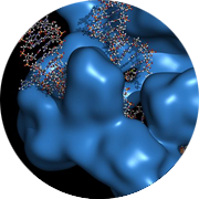CRISPR mice and rats