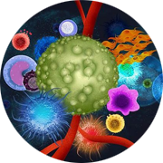 High Content Imaging using Multiplex Cell Painting. HeLa cells stained with six fluorescent dyes after exposure to Colchicine therapy.