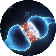 An image of the synaptic cleft of two neurons firing to demonstrate neuronal electrophysiology studies.