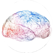 Illustration of a brain