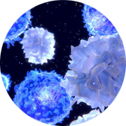 graphic image of antibody