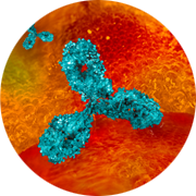 graphic image of antibody