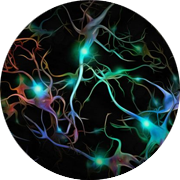 Illustration of neurons.