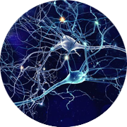 Illustration of neurons.