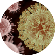 Charles River drug discovery uses large compound libraries and high throughput screening (HTS) technology for the identification of hit compounds and assay development.