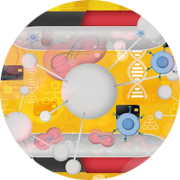 immune cellular response illustration