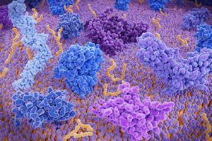 Cytokine and chemokine protein analysis provides information on efficacy and mechanism of action.