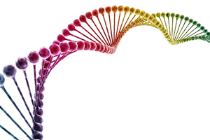 Gene expression analysis provides information on changes in tumor growth and mechanism of action.