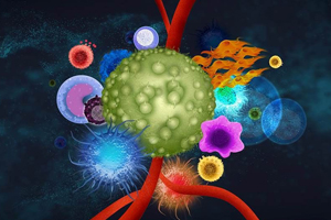 In vivo microdialysis is a uniquely sensitive, powerful method of sampling the tumor microenvironment in murine models.