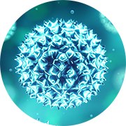 Illustration of plasmid