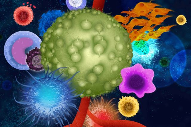 Zoomed in composition of tumor microenvironment